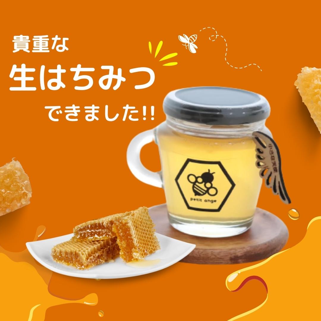 流通量1%の貴重な【生はちみつ】できました!