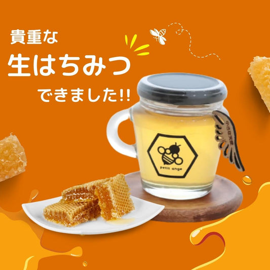 流通量1%の貴重な【生はちみつ】できました!