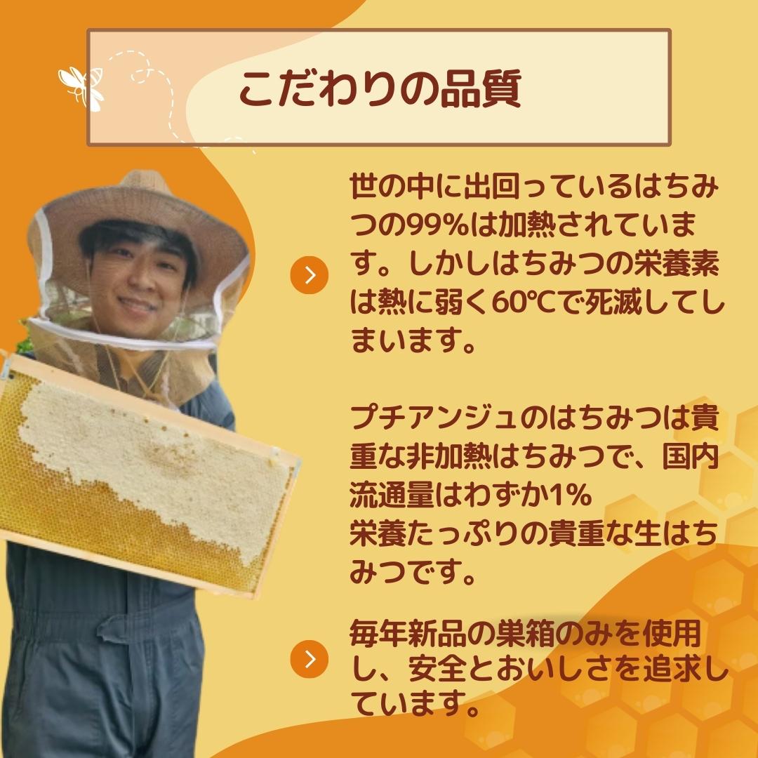 流通量1%の貴重な【生はちみつ】できました!