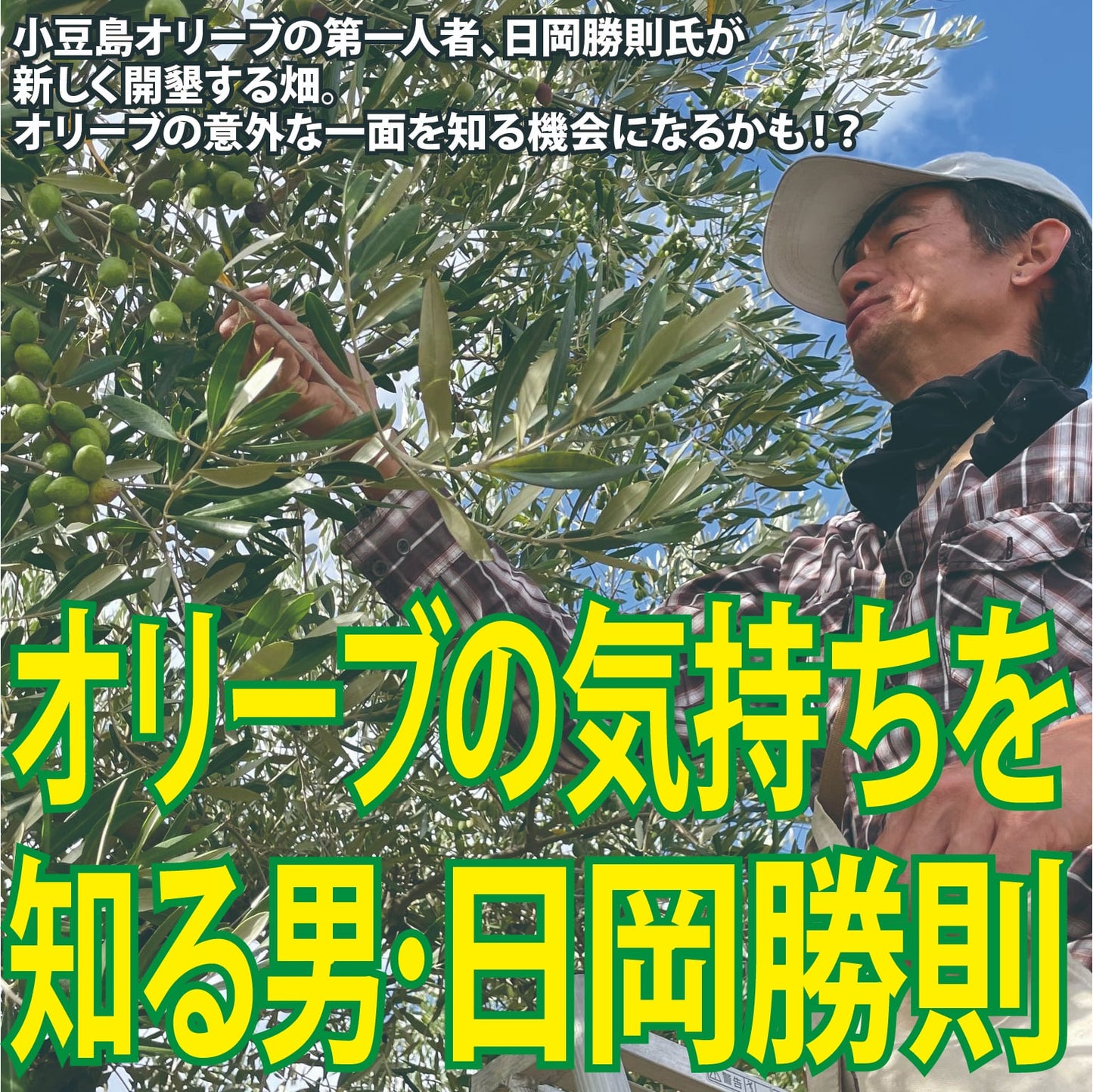 小豆島OLIVE「テストツアー」#2 《アクティビティ》the 開墾。