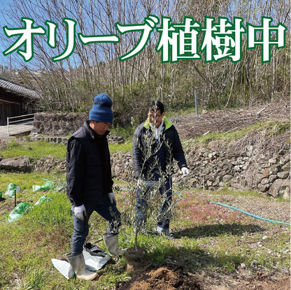 【のらピクニック】オリーブの植樹／オリーブの成長と小豆島を堪能する「体験ツアー」＃0003　the植樹