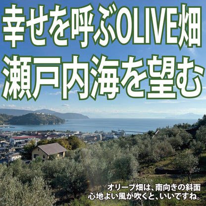 【のらピクニック】オリーブの植樹／オリーブの成長と小豆島を堪能する「体験ツアー」＃0003　the植樹