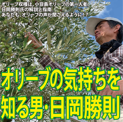 【のらピクニック】オリーブの植樹／オリーブの成長と小豆島を堪能する「体験ツアー」＃0003　the植樹