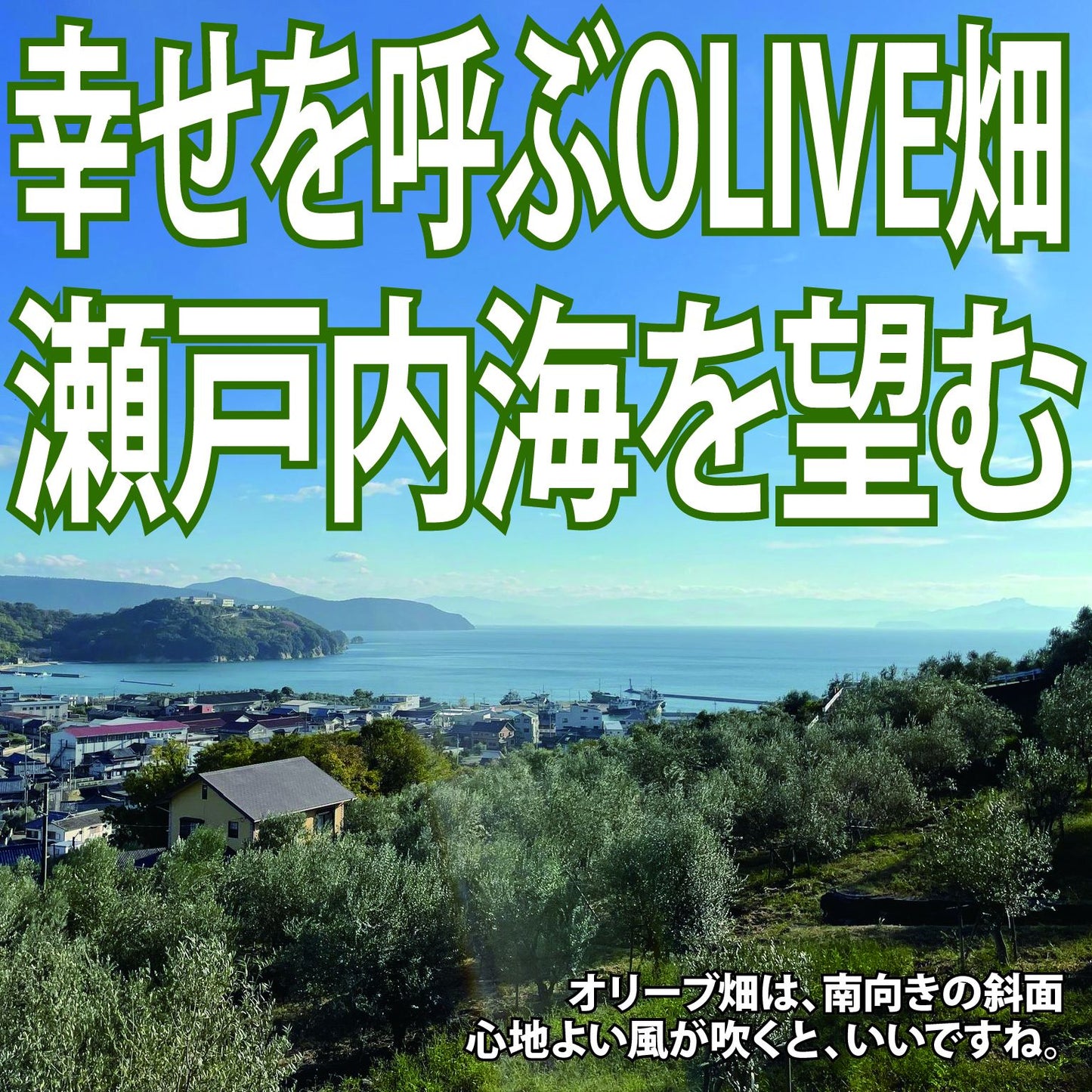 小豆島へ行こう！【10月10日〜11日の一泊二日イベント！】